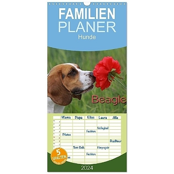Familienplaner 2024 - Beagle mit 5 Spalten (Wandkalender, 21 x 45 cm) CALVENDO, Pferdografen.de