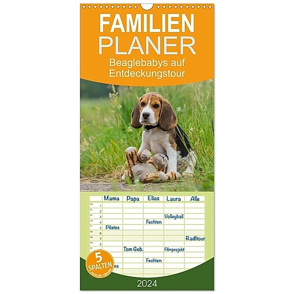 Familienplaner 2024 - Beaglebabys auf Entdeckungstour mit 5 Spalten (Wandkalender, 21 x 45 cm) CALVENDO, Sonja Teßen