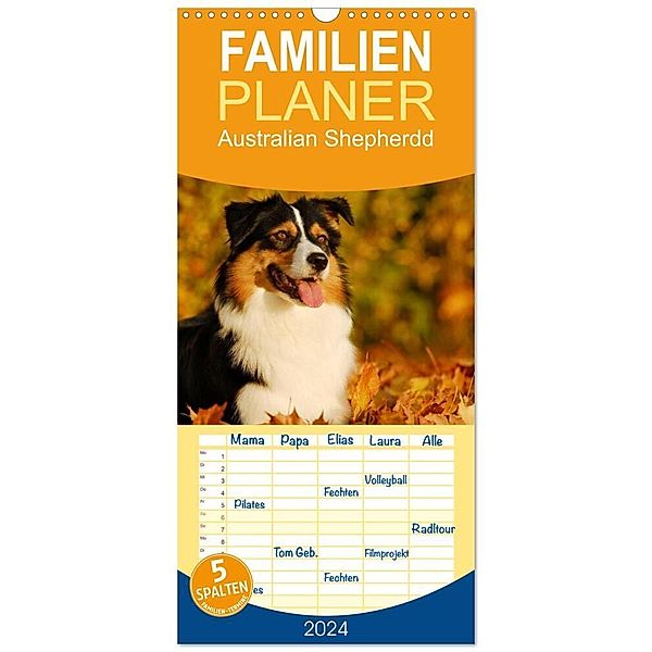 Familienplaner 2024 - Bekannt wie ein bunter Hund. Australian Shepherd mit 5 Spalten (Wandkalender, 21 x 45 cm) CALVENDO, Sigrid Starick