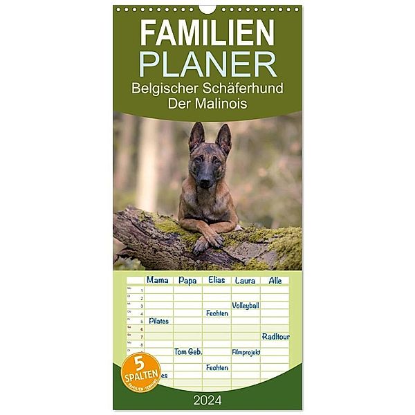 Familienplaner 2024 - Belgischer Schäferhund - Der Malinois mit 5 Spalten (Wandkalender, 21 x 45 cm) CALVENDO, Tanja Brandt
