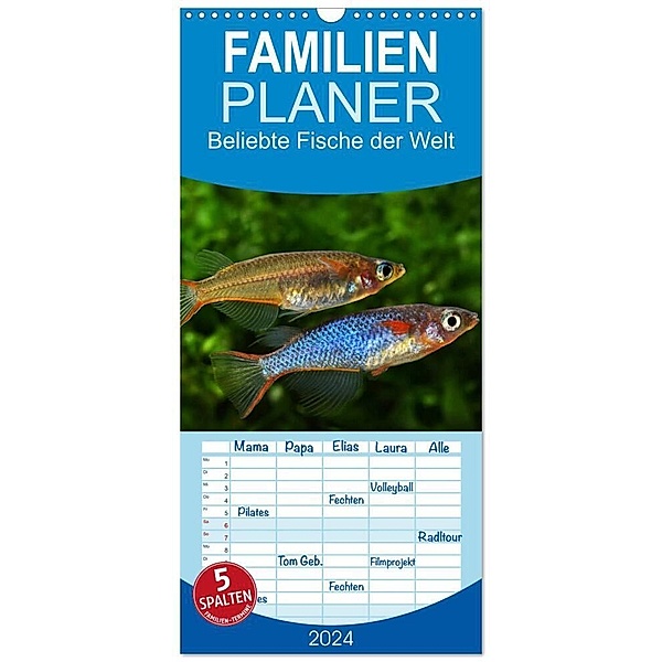 Familienplaner 2024 - Beliebte Fische der Welt mit 5 Spalten (Wandkalender, 21 x 45 cm) CALVENDO, Rudolf Pohlmann