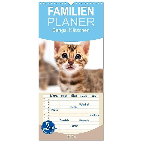 Familienplaner 2024 - Bengal Kätzchen mit 5 Spalten (Wandkalender, 21 x 45 cm) CALVENDO, Sylke Enderlein - Bethari Bengals