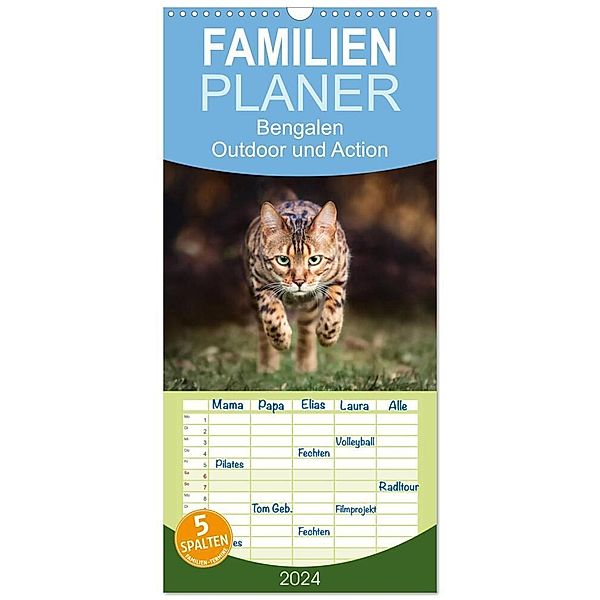 Familienplaner 2024 - Bengalen Outdoor und Action mit 5 Spalten (Wandkalender, 21 x 45 cm) CALVENDO, Andreas Krappweis