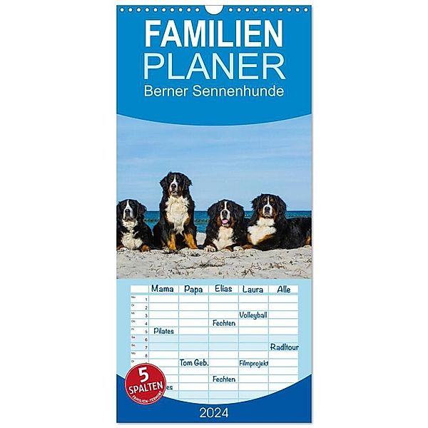 Familienplaner 2024 - Berner Sennenhund 2024 mit 5 Spalten (Wandkalender, 21 x 45 cm) CALVENDO, Sigrid Starick