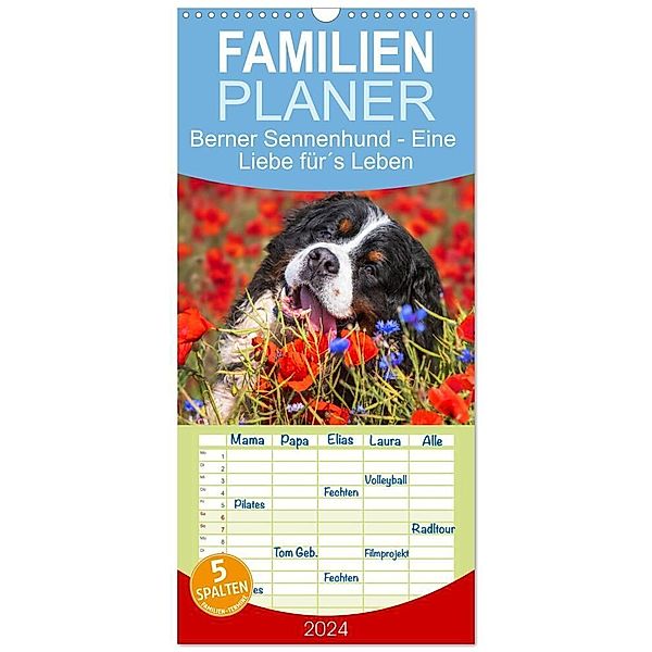 Familienplaner 2024 - Berner Sennenhund - Eine Liebe für´s Leben mit 5 Spalten (Wandkalender, 21 x 45 cm) CALVENDO, Sigrid Starick