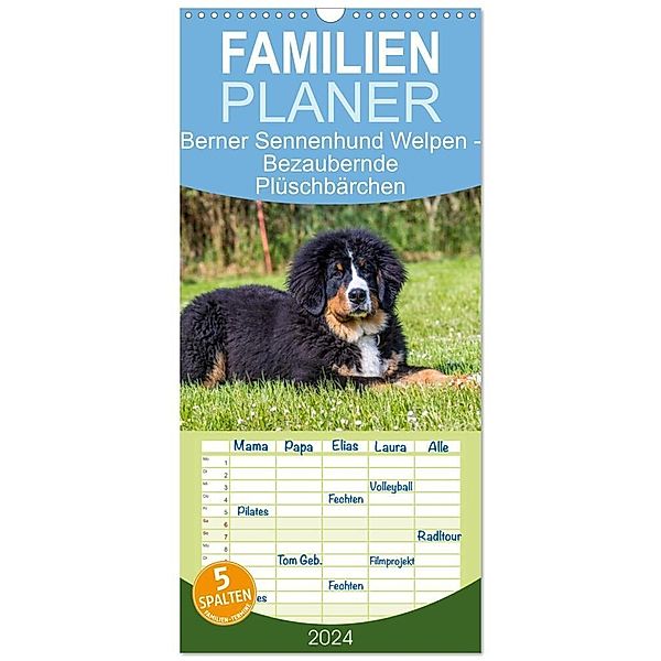 Familienplaner 2024 - Berner Sennenhund Welpen - Bezaubernde Plüschbärchen mit 5 Spalten (Wandkalender, 21 x 45 cm) CALVENDO, Jana K. Fotografie