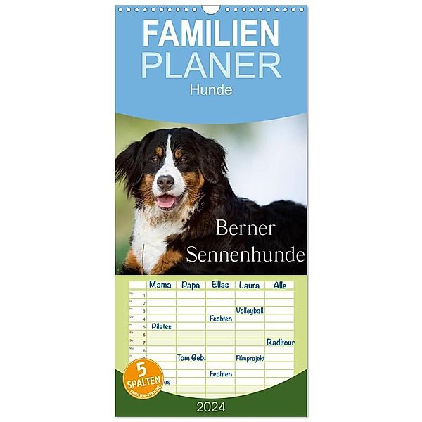 Familienplaner 2024 - Berner Sennenhunde mit 5 Spalten (Wandkalender, 21 x 45 cm) CALVENDO, Nicole Noack