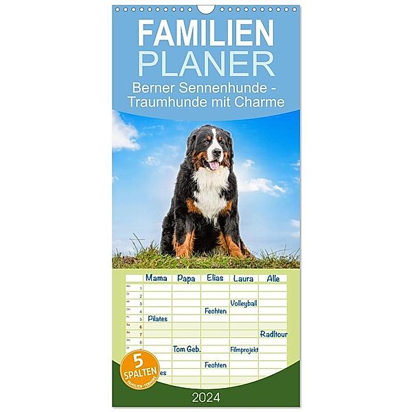 Familienplaner 2024 - Berner Sennenhunde - Traumhunde mit Charme mit 5 Spalten (Wandkalender, 21 x 45 cm) CALVENDO, Jana K. Fotografie