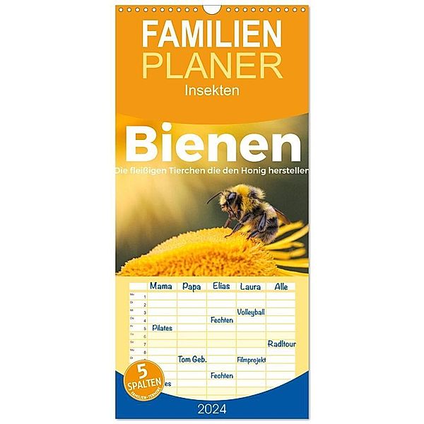 Familienplaner 2024 - Bienen - Die fleißigen Tierchen die den Honig herstellen. mit 5 Spalten (Wandkalender, 21 x 45 cm) CALVENDO, M. Scott