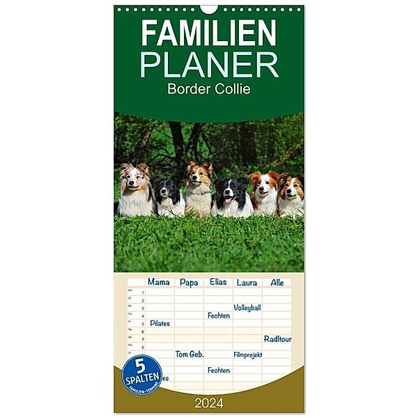 Familienplaner 2024 - Border Collie 2024 mit 5 Spalten (Wandkalender, 21 x 45 cm) CALVENDO, Sigrid Starick