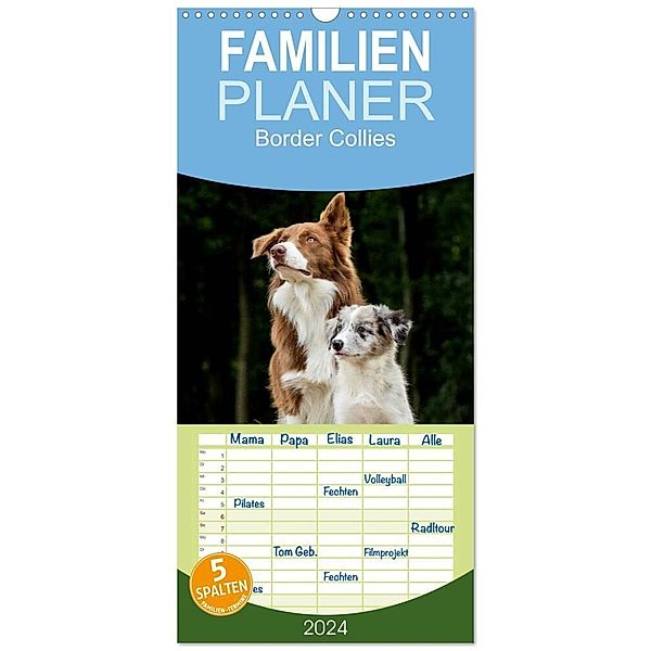 Familienplaner 2024 - Border Collies 2024 mit 5 Spalten (Wandkalender, 21 x 45 cm) CALVENDO, Christine Hemlep