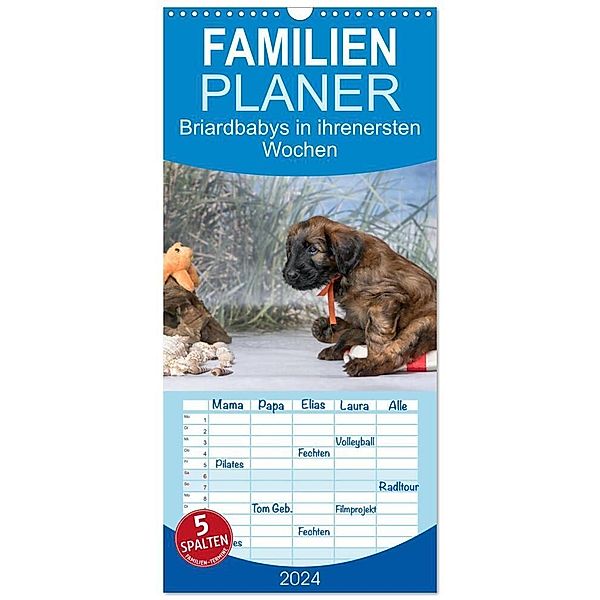 Familienplaner 2024 - Briardbabys in ihren ersten Wochen mit 5 Spalten (Wandkalender, 21 x 45 cm) CALVENDO, Sonja Teßen