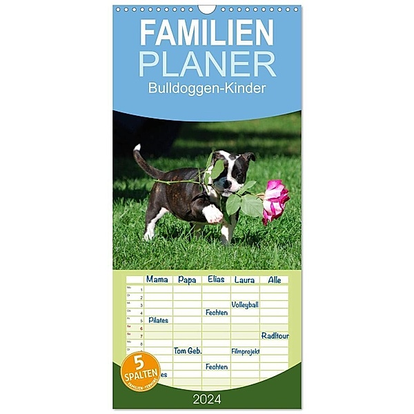 Familienplaner 2024 - Bulldoggen-Kinder mit 5 Spalten (Wandkalender, 21 x 45 cm) CALVENDO, Elisabeth Stanzer