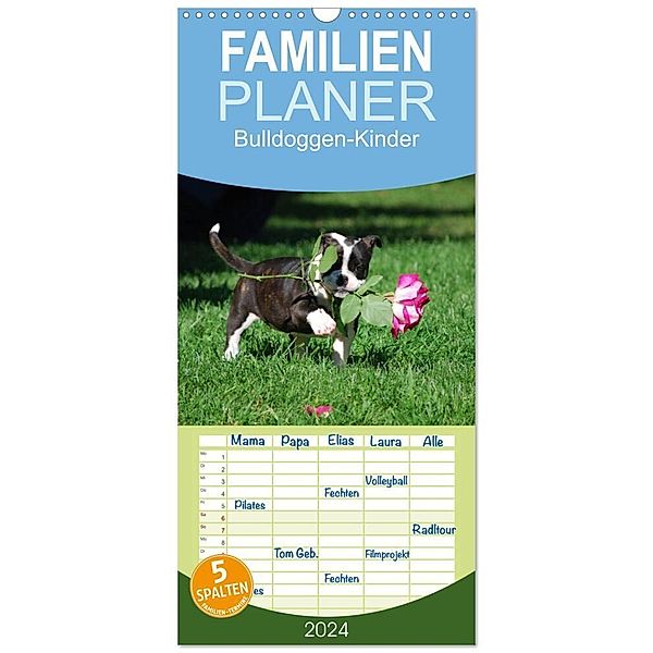 Familienplaner 2024 - Bulldoggen-Kinder mit 5 Spalten (Wandkalender, 21 x 45 cm) CALVENDO, Elisabeth Stanzer