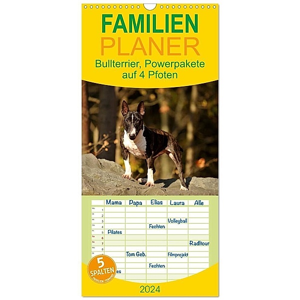 Familienplaner 2024 - Bullterrier, Powerpakete auf 4 Pfoten mit 5 Spalten (Wandkalender, 21 x 45 cm) CALVENDO, Yvonne Janetzek