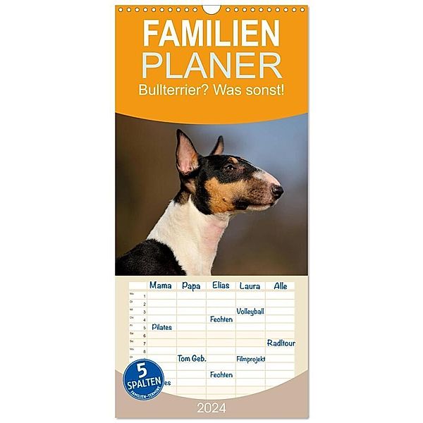 Familienplaner 2024 - Bullterrier? Was sonst! mit 5 Spalten (Wandkalender, 21 x 45 cm) CALVENDO, Yvonne Janetzek