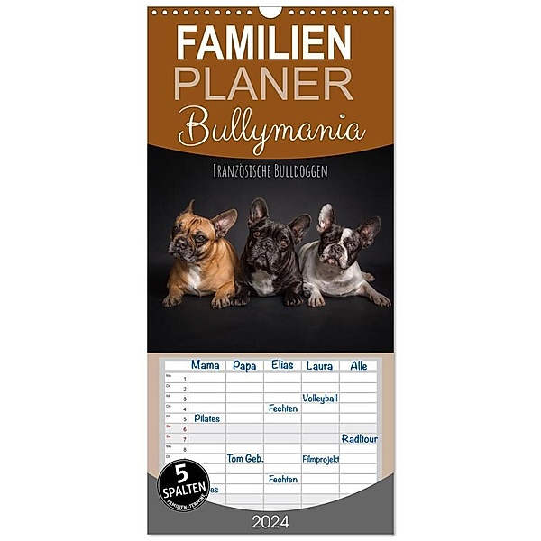Familienplaner 2024 - Bullymania - Französische Bulldoggen mit 5 Spalten (Wandkalender, 21 x 45 cm) CALVENDO, Silke Gareis (SCHNAPP-Schuss)