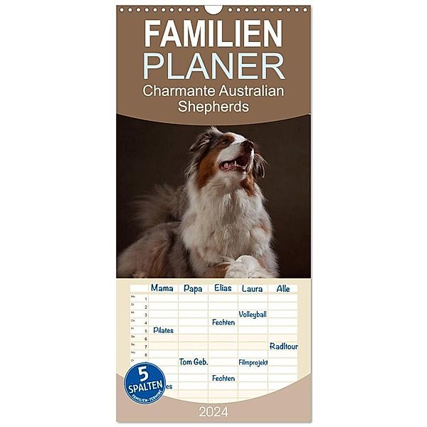 Familienplaner 2024 - Charmante Australian Shepherds mit 5 Spalten (Wandkalender, 21 x 45 cm) CALVENDO, Jana Behr