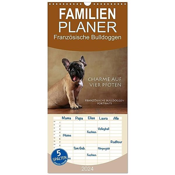 Familienplaner 2024 - Charme auf vier Pfoten - Französische Bulldoggen Portraits mit 5 Spalten (Wandkalender, 21 x 45 cm) CALVENDO, Jana Behr