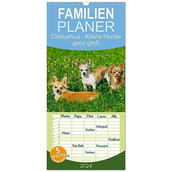 Familienplaner 2024 - Chihuahua - Kleine Hunde ganz gross mit 5 Spalten (Wandkalender, 21 x 45 cm) CALVENDO, Sigrid Starick