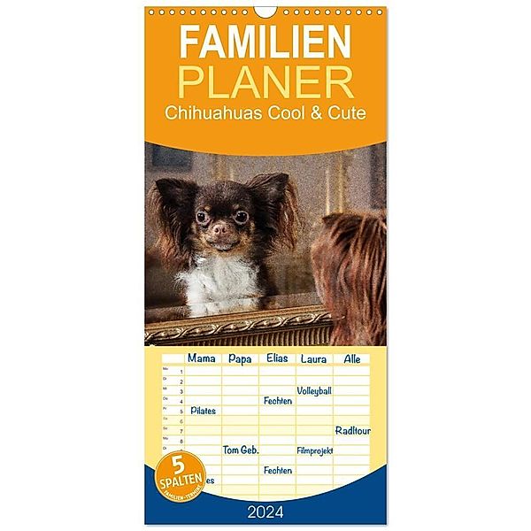 Familienplaner 2024 - Chihuahuas - Cool and Cute mit 5 Spalten (Wandkalender, 21 x 45 cm) CALVENDO, Oliver Pinkoss Photostorys