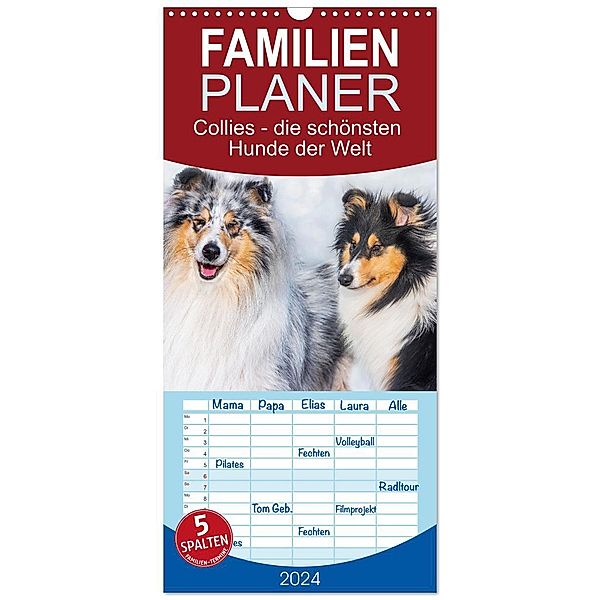 Familienplaner 2024 - Collies - die schönsten Hunde der Welt mit 5 Spalten (Wandkalender, 21 x 45 cm) CALVENDO, Calvendo, Sigrid Starick