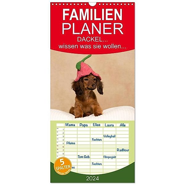 Familienplaner 2024 - DACKEL... wissen was sie wollen... (und was nicht...) mit 5 Spalten (Wandkalender, 21 x 45 cm) CALVENDO, Annett Mirsberger tierpfoto.de