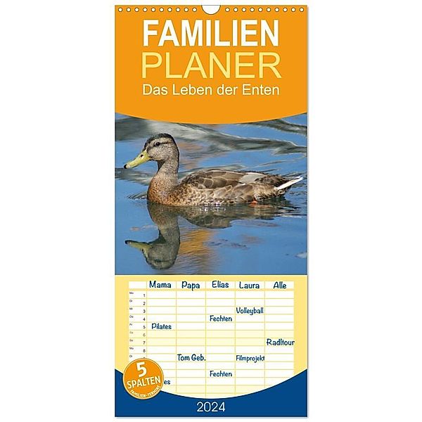 Familienplaner 2024 - Das Leben der Enten mit 5 Spalten (Wandkalender, 21 x 45 cm) CALVENDO, Kattobello