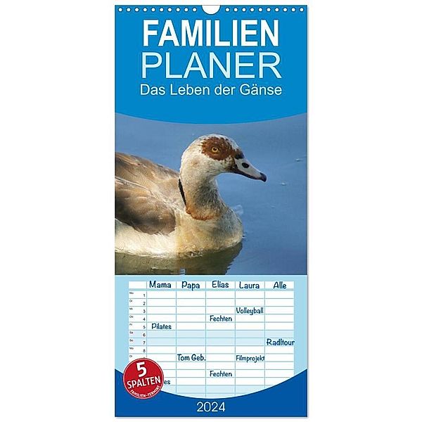 Familienplaner 2024 - Das Leben der Gänse mit 5 Spalten (Wandkalender, 21 x 45 cm) CALVENDO, Kattobello