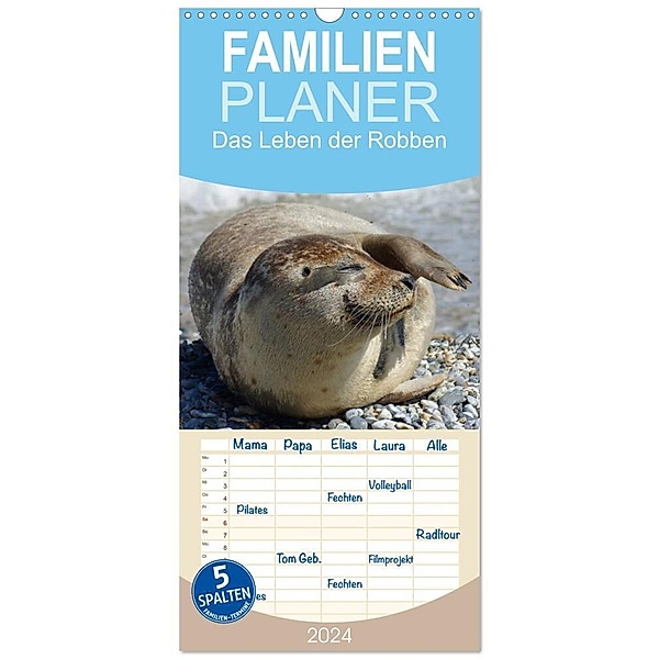 Familienplaner 2024 - Das Leben der Robben mit 5 Spalten (Wandkalender, 21 x 45 cm) CALVENDO, Kattobello