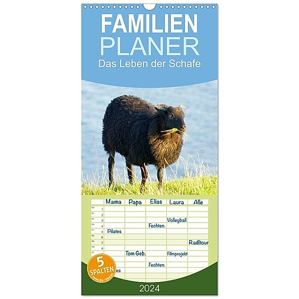 Familienplaner 2024 - Das Leben der Schafe mit 5 Spalten (Wandkalender, 21 x 45 cm) CALVENDO, Kattobello