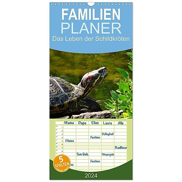 Familienplaner 2024 - Das Leben der Schildkröten mit 5 Spalten (Wandkalender, 21 x 45 cm) CALVENDO, Kattobello