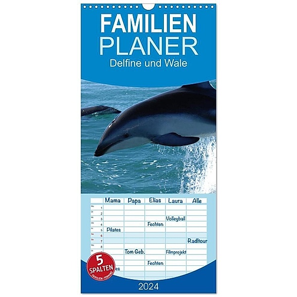 Familienplaner 2024 - Delfine und Wale mit 5 Spalten (Wandkalender, 21 x 45 cm) CALVENDO, Elisabeth Stanzer