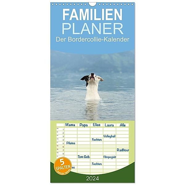 Familienplaner 2024 - Der Bordercollie-Kalender mit 5 Spalten (Wandkalender, 21 x 45 cm) CALVENDO, Kathrin Köntopp