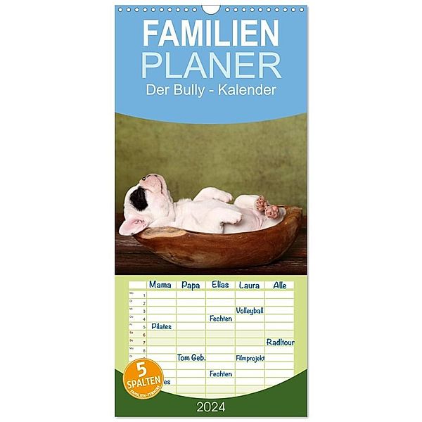 Familienplaner 2024 - Der Bully - Kalender Familienplaner hoch mit 5 Spalten (Wandkalender, 21 x 45 cm) CALVENDO, Jeanette Hutfluss