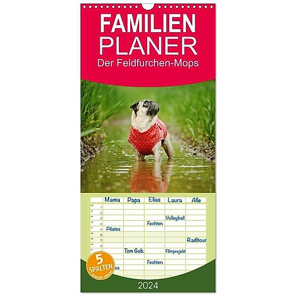 Familienplaner 2024 - Der Feldfurchen-Mops mit 5 Spalten (Wandkalender, 21 x 45 cm) CALVENDO, Kathrin Köntopp