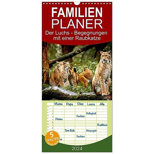 Familienplaner 2024 - Der Luchs - Begegnungen mit einer Raubkatze mit 5 Spalten (Wandkalender, 21 x 45 cm) CALVENDO, Ralf Metzger