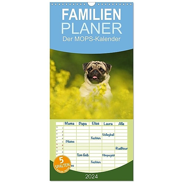 Familienplaner 2024 - Der MOPS-Kalender mit 5 Spalten (Wandkalender, 21 x 45 cm) CALVENDO, Kathrin Köntopp