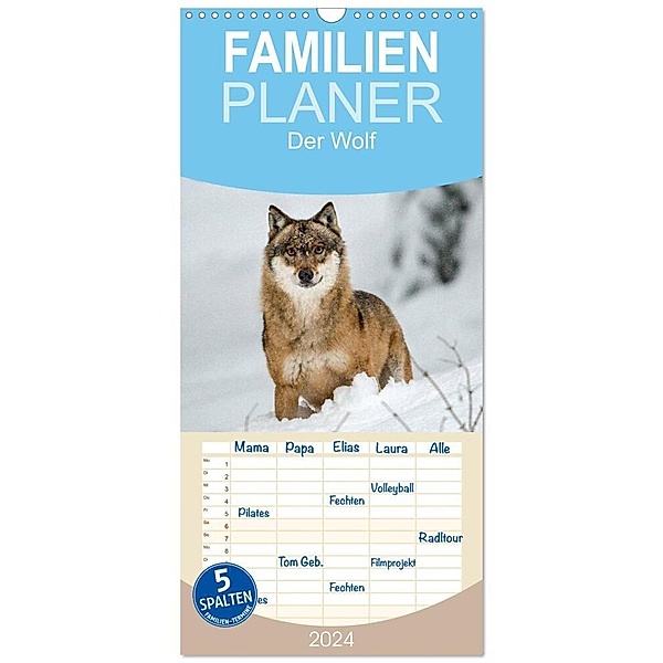 Familienplaner 2024 - DER WOLF - faszinierend und gefährlich mit 5 Spalten (Wandkalender, 21 x 45 cm) CALVENDO, Christian Haidl