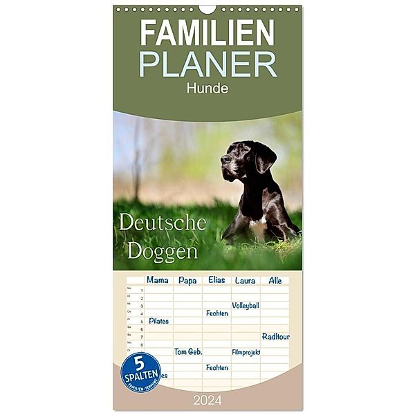 Familienplaner 2024 - Deutsche Doggen / Geburtstagskalender mit 5 Spalten (Wandkalender, 21 x 45 cm) CALVENDO, Nicole Noack