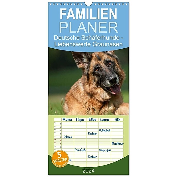 Familienplaner 2024 - Deutsche Schäferhunde - Liebenswerte Graunasen mit 5 Spalten (Wandkalender, 21 x 45 cm) CALVENDO, Petra Schiller
