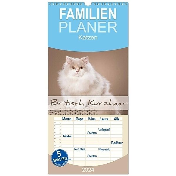 Familienplaner 2024 - Die Britisch Kurzhaar Katze mit 5 Spalten (Wandkalender, 21 x 45 cm) CALVENDO, Trio Bildarchiv