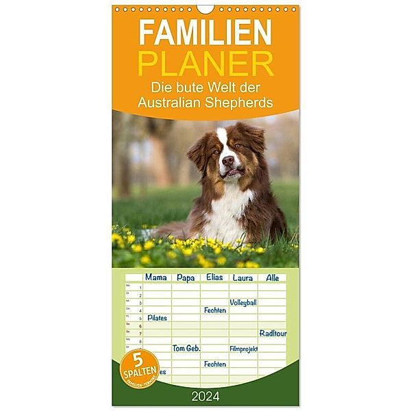 Familienplaner 2024 - DIE BUNTE WELT DER AUSTRALIAN SHEPHERDS mit 5 Spalten (Wandkalender, 21 x 45 cm) CALVENDO, Annett Mirsberger tierpfoto