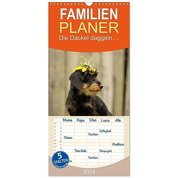 Familienplaner 2024 - Die Dackel daggeln.... mit 5 Spalten (Wandkalender, 21 x 45 cm) CALVENDO, Kathrin Köntopp