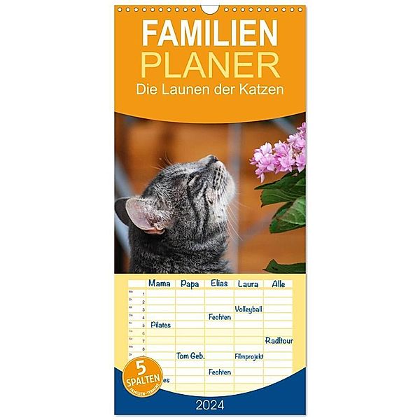 Familienplaner 2024 - Die Launen der Katzen 2024 mit 5 Spalten (Wandkalender, 21 x 45 cm) CALVENDO, Anna Kropf