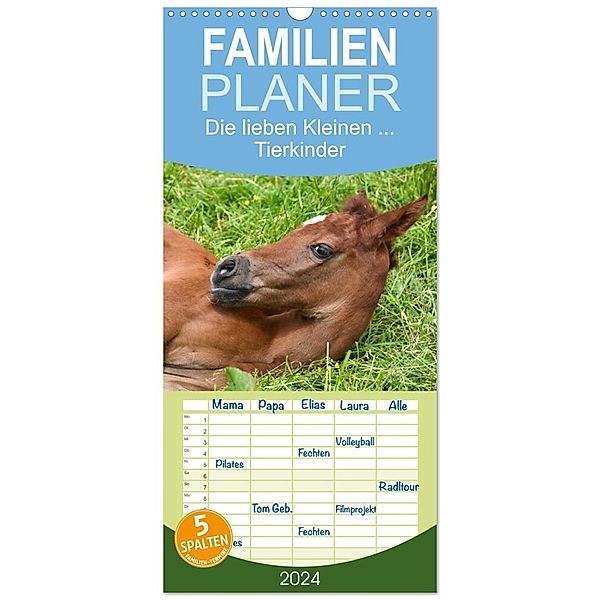 Familienplaner 2024 - Die lieben Kleinen ... Tierkinder einfach zum Knuddeln mit 5 Spalten (Wandkalender, 21 x 45 cm) CALVENDO, Gugigei