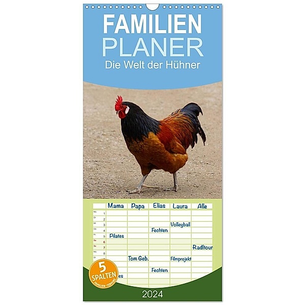 Familienplaner 2024 - Die Welt der Hühner mit 5 Spalten (Wandkalender, 21 x 45 cm) CALVENDO, Kattobello