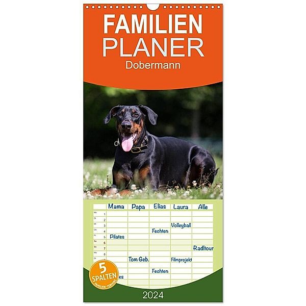 Familienplaner 2024 - Dobermann mit 5 Spalten (Wandkalender, 21 x 45 cm) CALVENDO, Annett Mirsberger www.tierpfoto.de