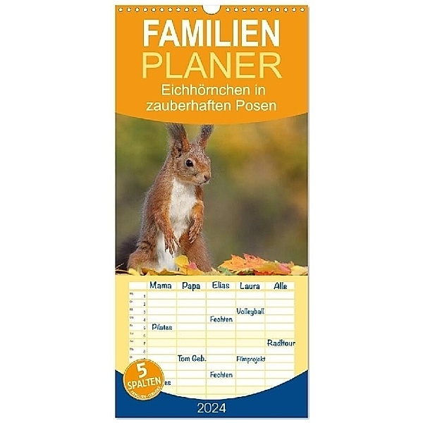 Familienplaner 2024 - Eichhörnchen in zauberhaften Posen mit 5 Spalten (Wandkalender, 21 x 45 cm) CALVENDO, Tine Meier