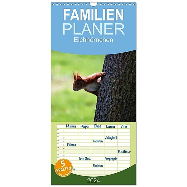 Familienplaner 2024 - Eichhörnchen mit 5 Spalten (Wandkalender, 21 x 45 cm) CALVENDO, Schnellewelten
